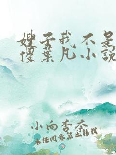 嫂子我不是真的傻叶凡小说免费阅读