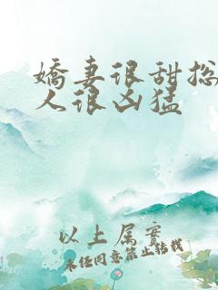 娇妻很甜总裁大人很凶猛