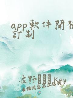 app软件开发订制