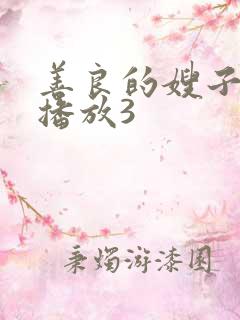 善良的嫂子在线播放3
