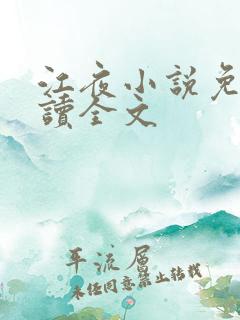 江夜小说免费阅读全文