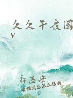 久久午夜国产av