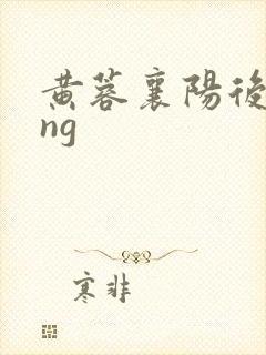 黄蓉襄阳后记png