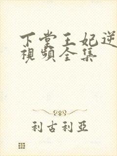 下堂王妃逆袭记视频全集