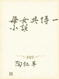 母女共侍一夫 小说