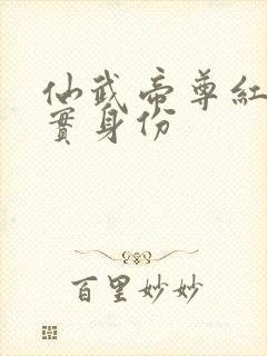 仙武帝尊红尘真实身份