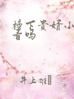 榜下贵婿小说好看吗 榜下贵婿小说好看吗