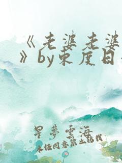 《老婆老婆老婆》by东度日小说番外