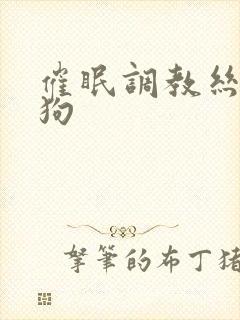 催眠调教丝袜母狗