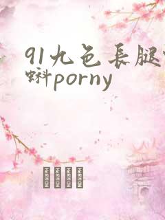 91九色长腿蝌蚪porny