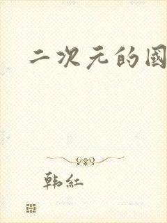 二次元的国漫
