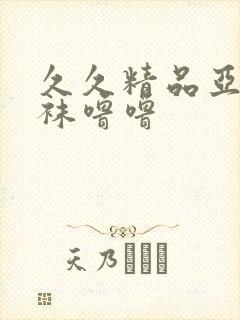 久久精品亚洲丝袜噜噜