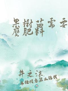 果树苗需要施什么肥料