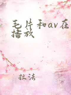 毛片和av在线播放