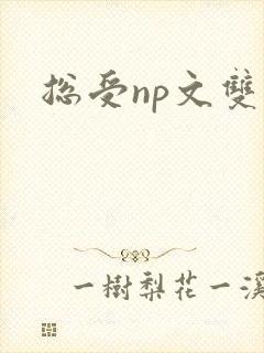总受np文双性