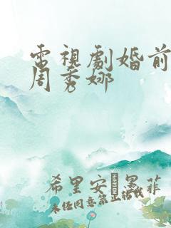 电视剧婚前试爱周秀娜