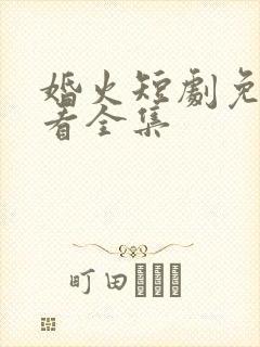 婚火短剧免费观看全集