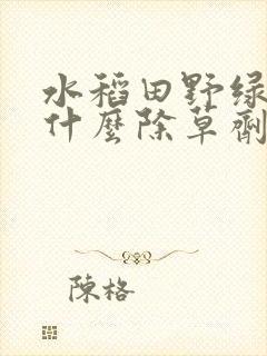水稻田野绿豆用什么除草剂