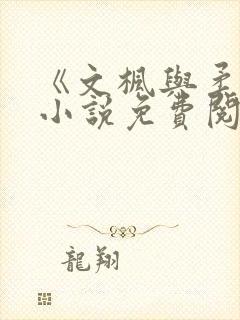 《文枫与柔佳》小说免费阅读