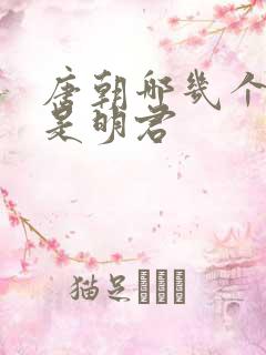 唐朝哪几个皇帝是明君