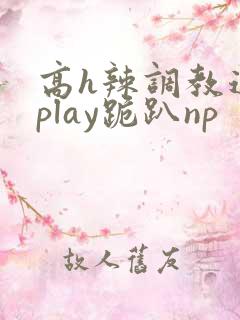 高h辣调教道具play跪趴np