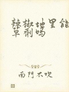辣椒地里能打除草剂吗