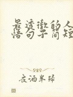 最透彻的人生感悟句子简短