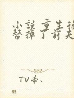 小说 重生后我替掉了前夫白月光
