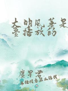 大明风华是哪个台播放的