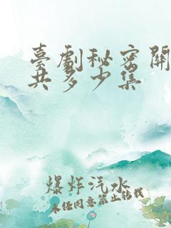 台剧秘密关系一共多少集