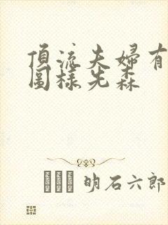 顶流夫妇有点甜图样先森