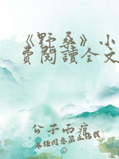 《野桑》小说免费阅读全文