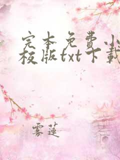 完本免费小说精校版txt下载