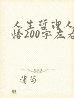 人生哲理人生感悟200字左右