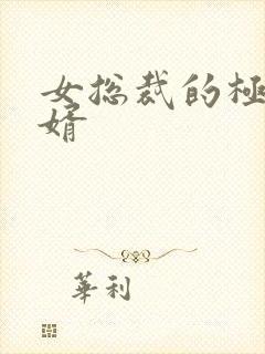 女总裁的极品女婿