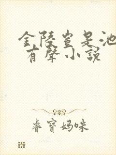 金陵岂是池中物 有声小说