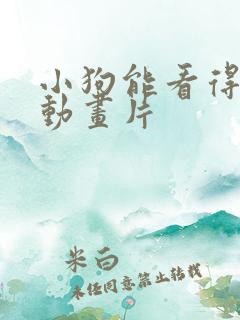小狗能看得懂的动画片