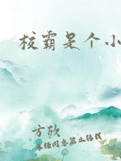 校霸是个小妖精