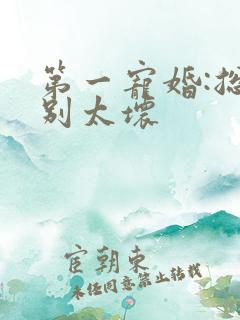 第一宠婚:总裁别太坏