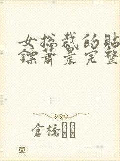 女总裁的贴身保镖萧晨完整版
