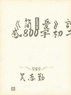《简·爱》读后感800字初二