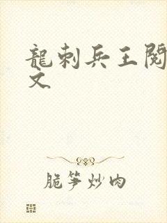 龙刺兵王阅读全文