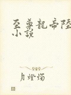 至尊龙帝陆鸣 小说