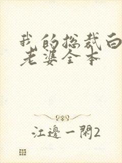 我的总裁白富美老婆全本