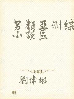 另类亚洲综合区小说区