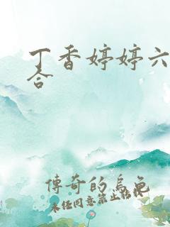 丁香婷婷六月综合