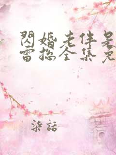 闪婚老伴是豪门雷总全集免费