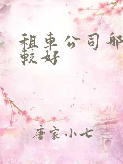租车公司哪个比较好