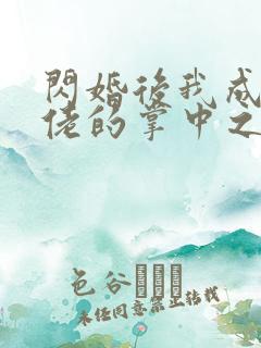 闪婚后我成了大佬的掌中之物无删减