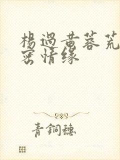 杨过黄蓉荒岛秘密情缘